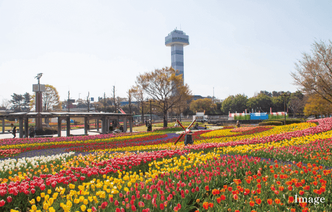 国営木曽三川公園